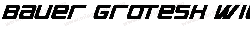 Bauer Grotesk W1G字体转换